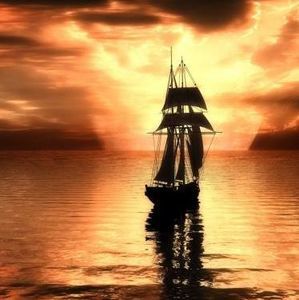 Meet your Posher, Bob